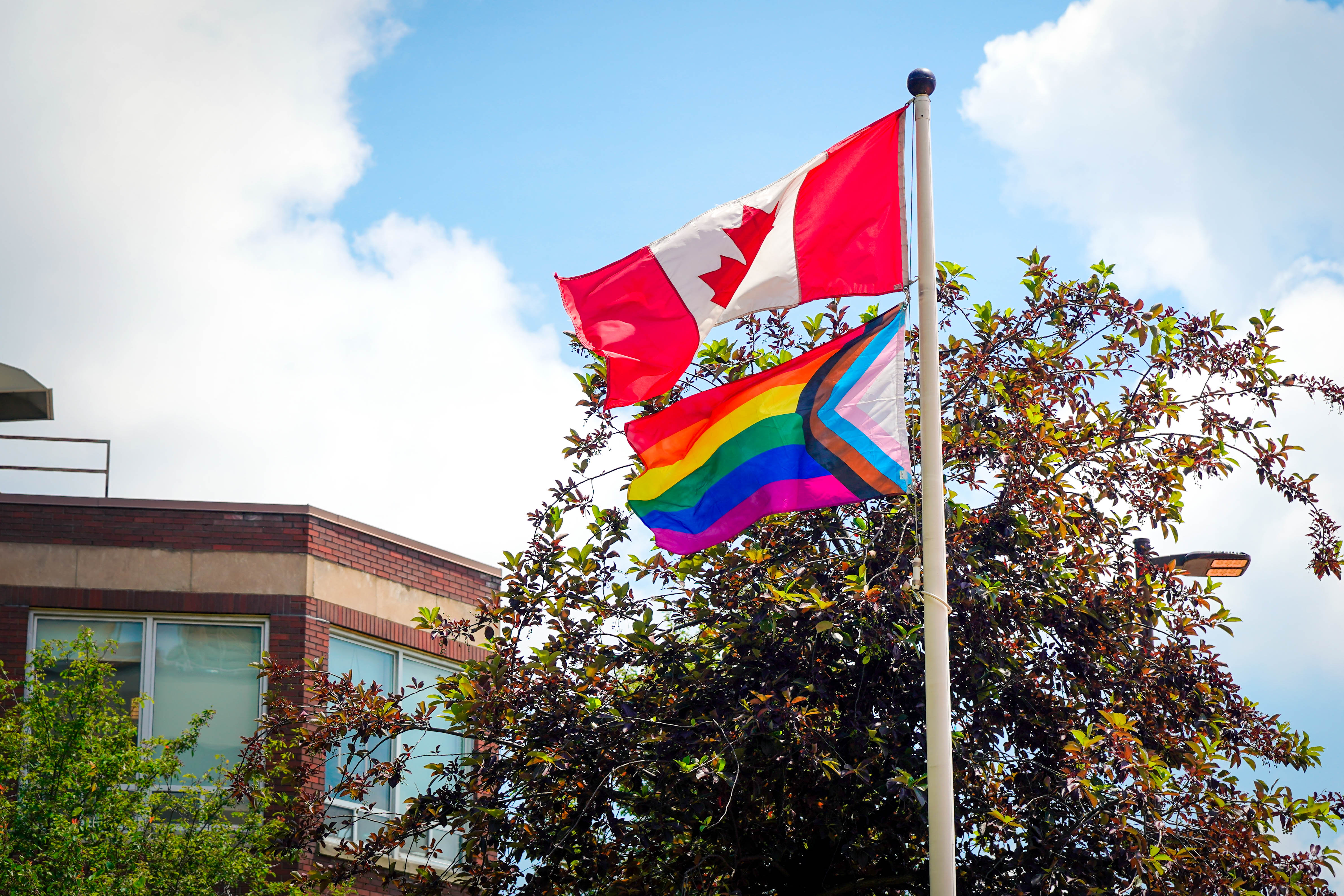 Pride flag hanging at the BGH D-wing